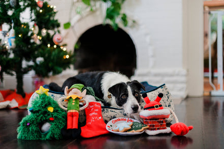 Merry Woofmas Clumsy Santa