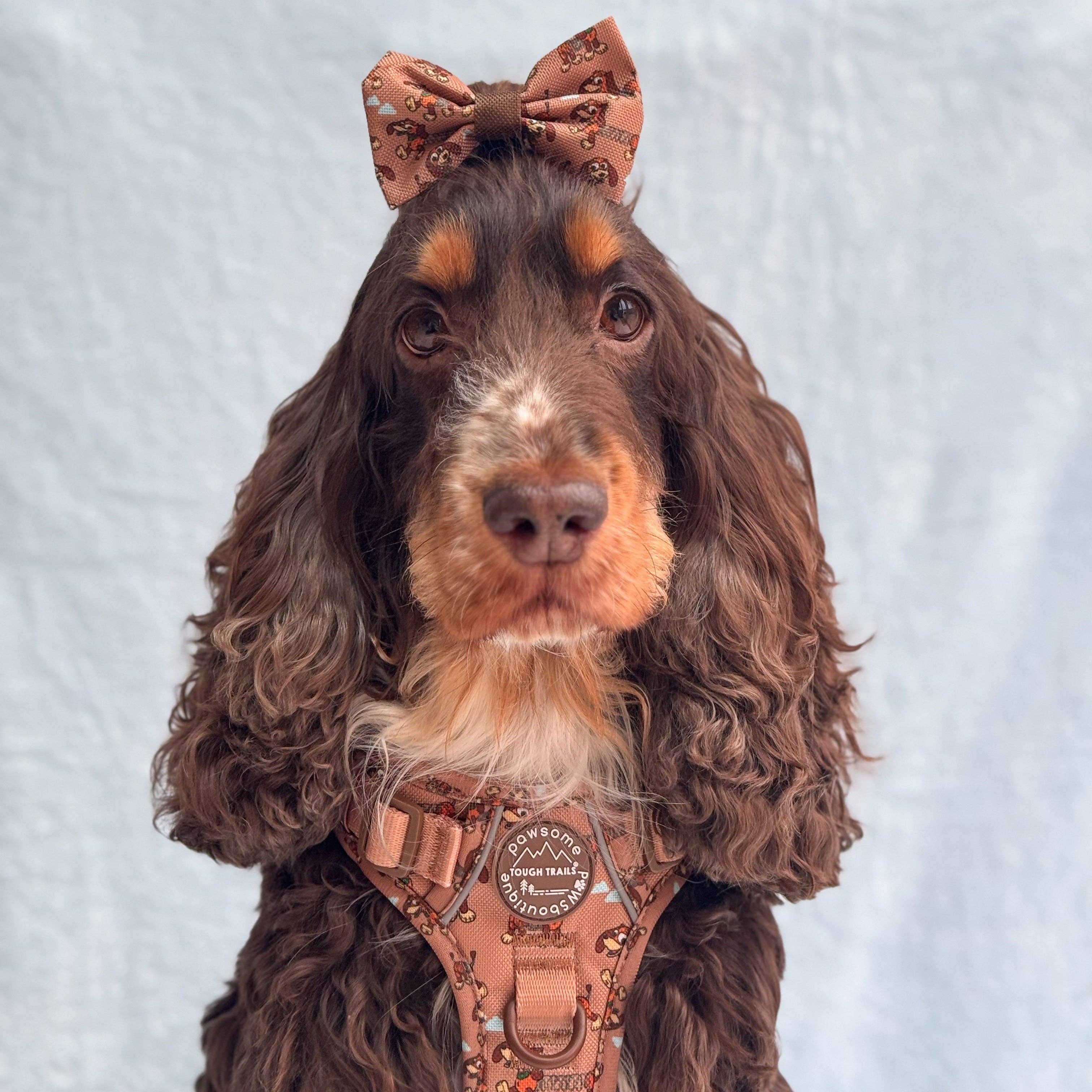 Disney© Bow Tie - Slinky: Regular