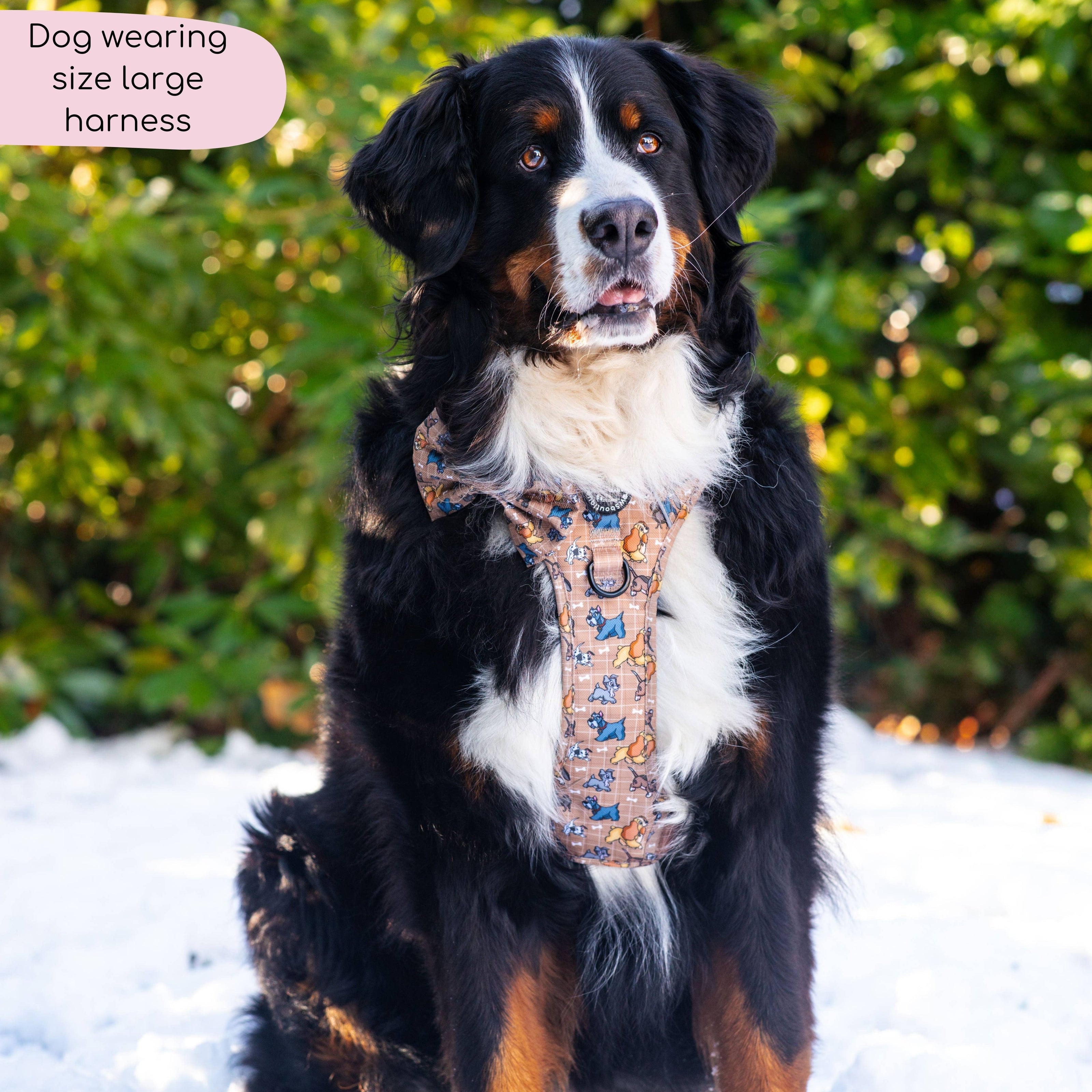 Disney© Tough Trails™ Harness - Disney Dogs: M