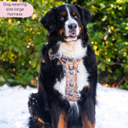 Disney© Tough Trails™ Harness - Disney Dogs: XS