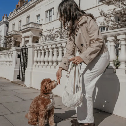 By Teddy Marshmallow | the Quilted Walking Bag