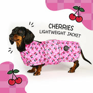 🍒 Cherries Lightweight Dachshund Jacket 🍒