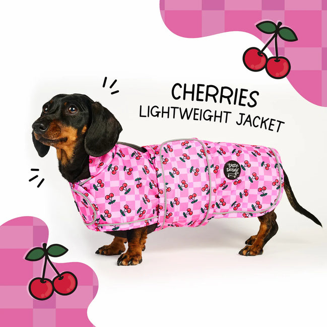 🍒 Cherries Lightweight Dachshund Jacket 🍒
