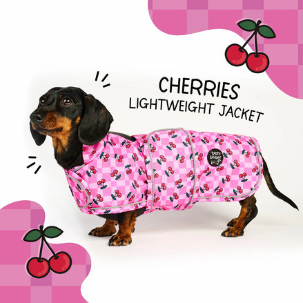 🍒 Cherries Lightweight Dachshund Jacket 🍒