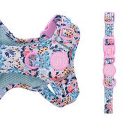 Bailey and Coco Trail & Glow Adjustable Collar - Colour Drops - Spring Dreams