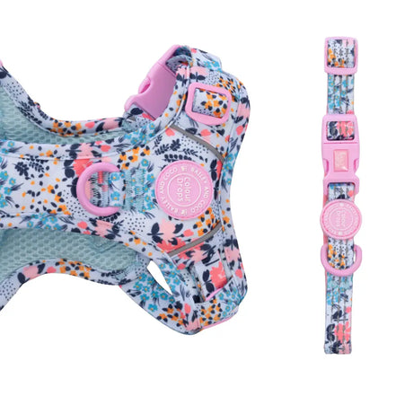 Bailey and Coco Trail & Glow Adjustable Collar - Colour Drops - Spring Dreams