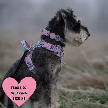 Bailey and Coco Trail & Glow Adjustable Collar - Colour Drops - Spring Dreams