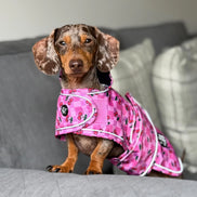 🍒 Cherries Lightweight Dachshund Jacket 🍒