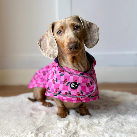 🍒 Cherries Lightweight Dachshund Jacket 🍒
