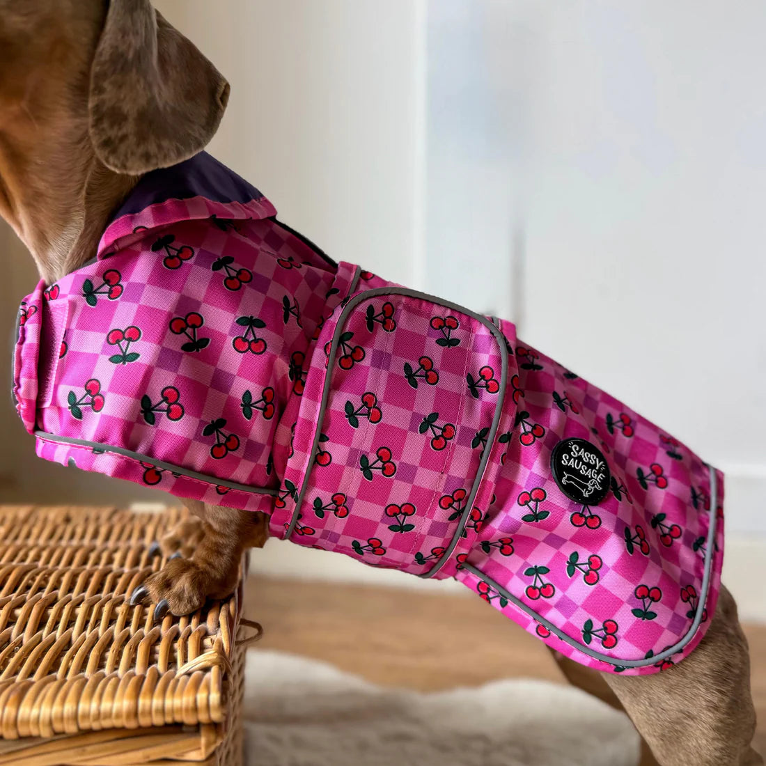 🍒 Cherries Lightweight Dachshund Jacket 🍒