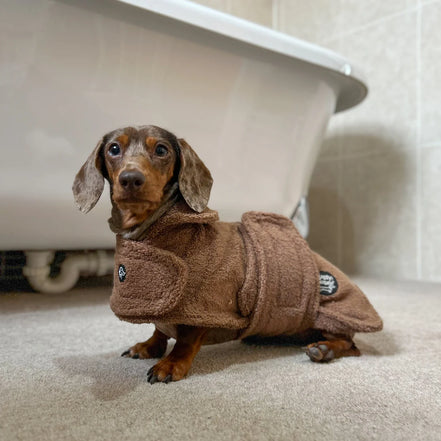 Sassy Sausage Dachshund Towel Robe
