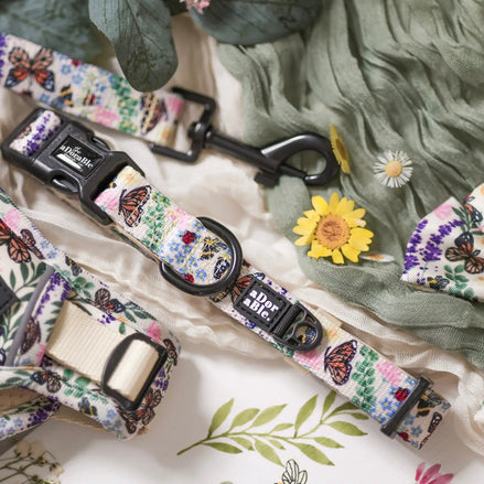 Dog Collar - Bumbles & Butterflies