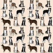 The Border Collie Dog Walking Bag
