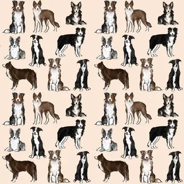 The Border Collie Dog Walking Bag