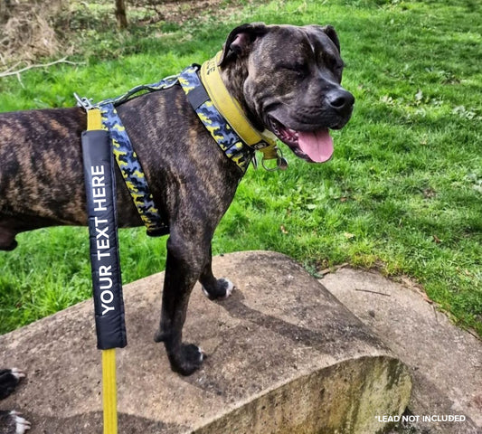 Customised Dog Lead Sleeve