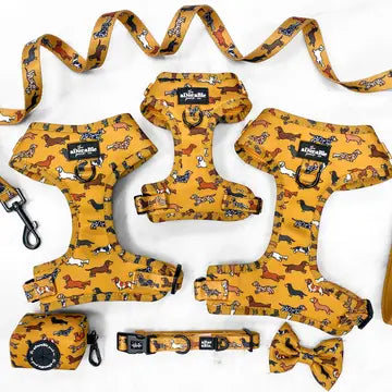Adjustable Harness - Dashing Dachshunds