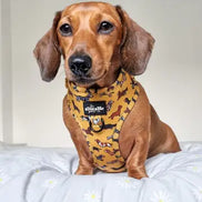 Adjustable Harness - Dashing Dachshunds