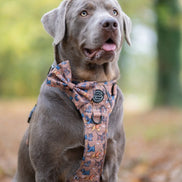 Disney© Bow Tie - Disney Dogs