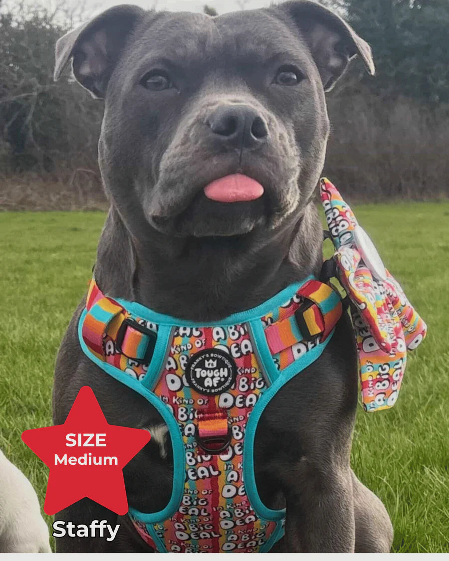 Tough AF® Harness - I'm kind of a big deal