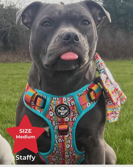 Tough AF® Harness - I'm kind of a big deal