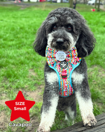 Tough AF® Harness - I'm kind of a big deal