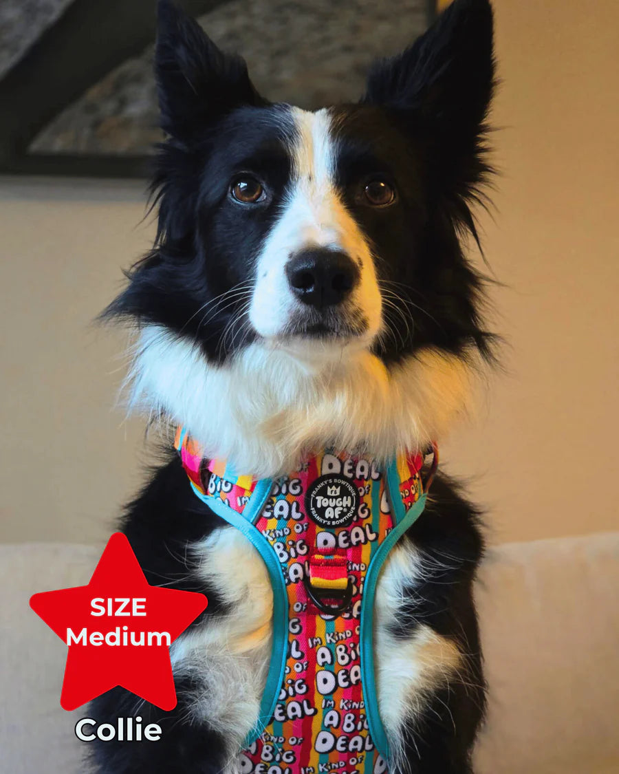 Tough AF® Harness - I'm kind of a big deal