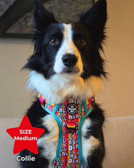 Tough AF® Harness - I'm kind of a big deal