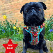 Tough AF® Harness - I'm kind of a big deal