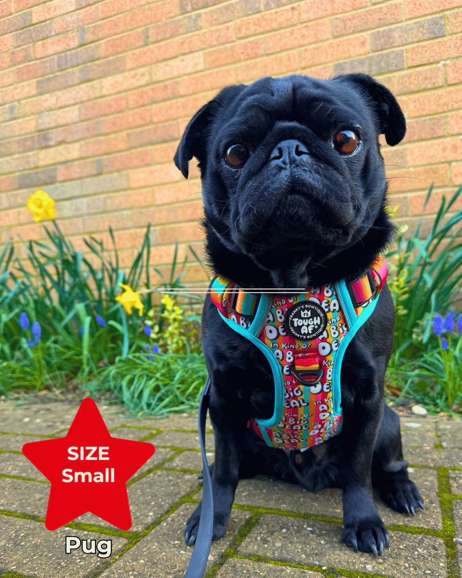 Tough AF® Harness - I'm kind of a big deal