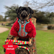 Tough AF® Harness - I'm kind of a big deal