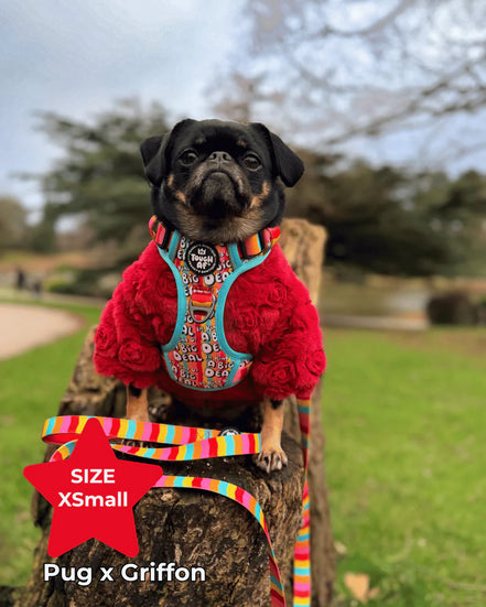 Tough AF® Harness - I'm kind of a big deal