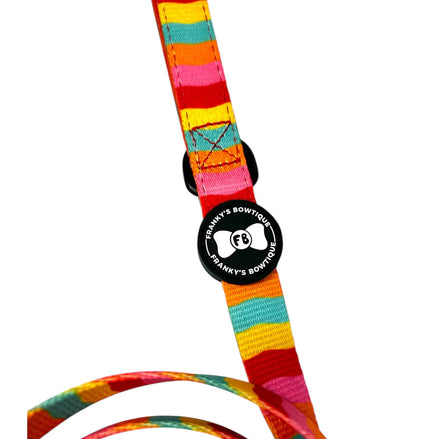 Dog Lead - Rainbow Riot