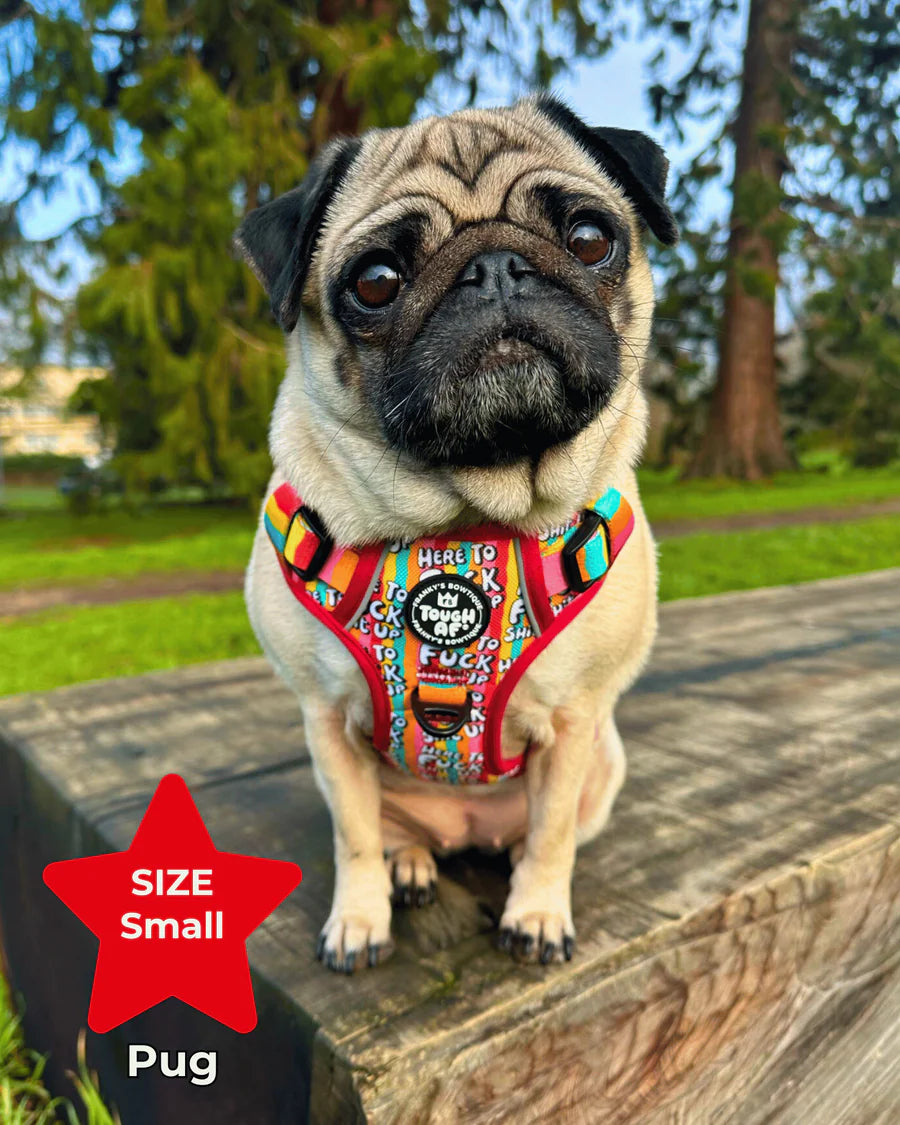 Tough AF® Harness - Here to fuck shit up
