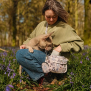 The French Bulldog Dog Walking Bag