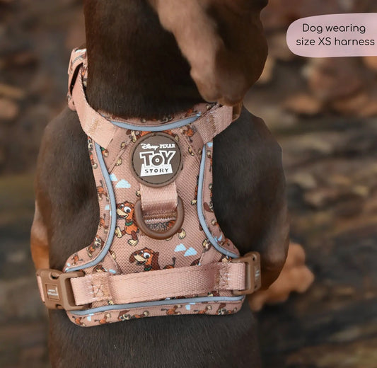Disney© Tough Trails™ Harness - Slinky