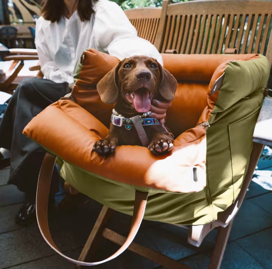 Luxury Multi-Use Dog Car Seat & Travel Bed – Portable Carrier, Home Bed & Fully Washable, Green/Orange