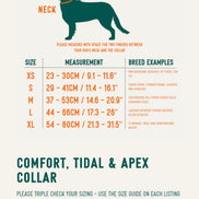 Apex® Collar Nomad
