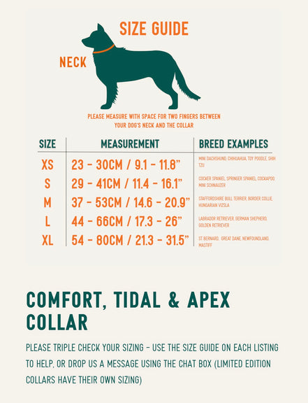 Apex® Collar Nomad