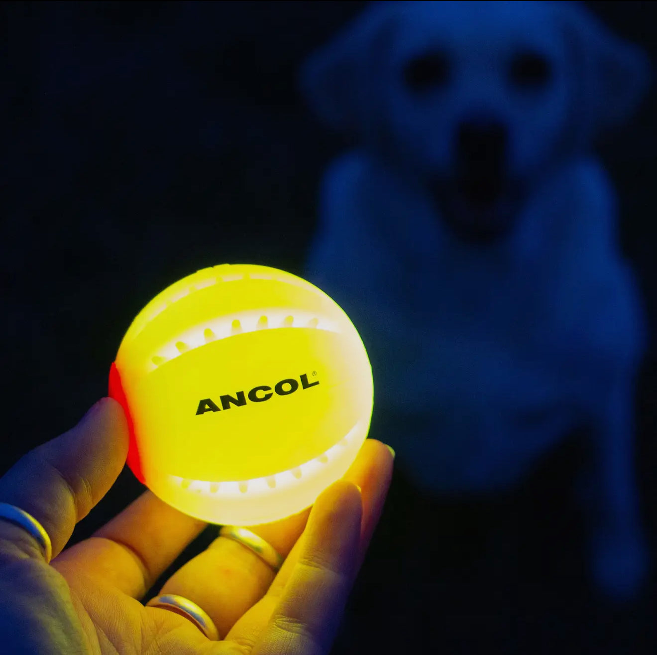 Rechargeable Led Dog Ball
