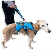 6-IN-1 Multi Function Lead with Anti-jar Bungee