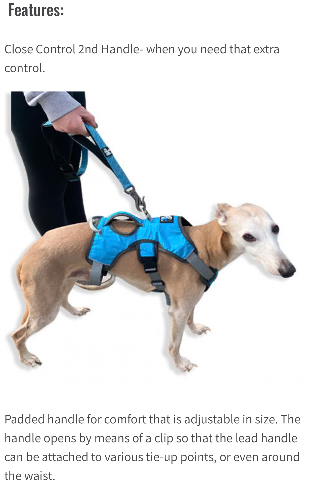 6-IN-1 Multi Function Lead with Anti-jar Bungee
