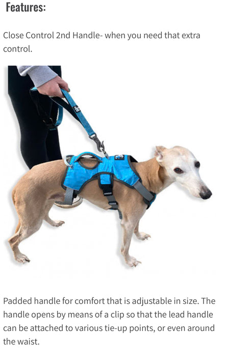6-IN-1 Multi Function Lead with Anti-jar Bungee