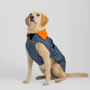 Dryrobe® Dog Grey/Orange