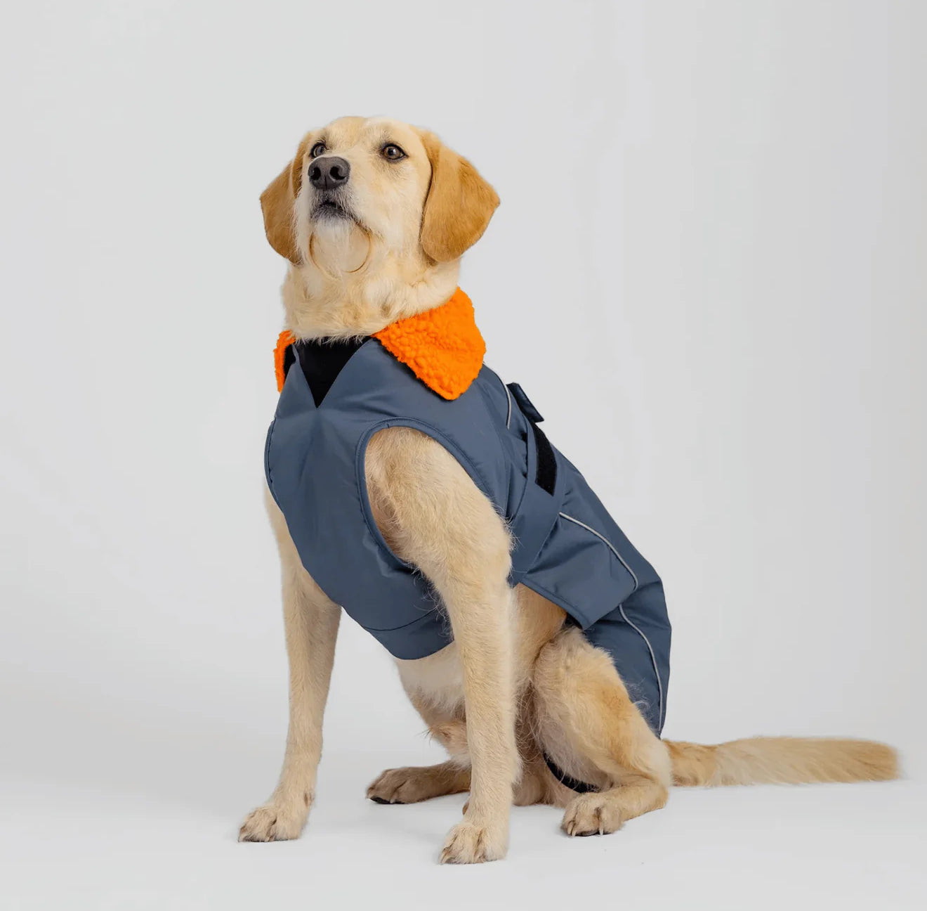 Dryrobe® Dog Grey/Orange