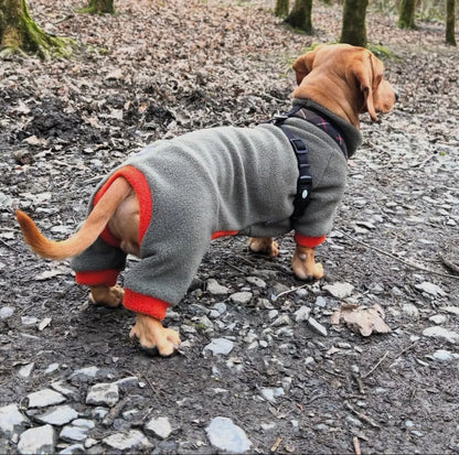Dachshund Fleece Winter Suits with 4 Legs