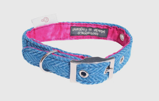 Berneray - Harris Tweed Dog Collar