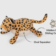 Big Five of Africa - Leopard