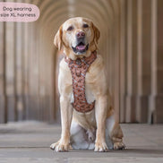 Disney© Tough Trails™ Harness - Slinky