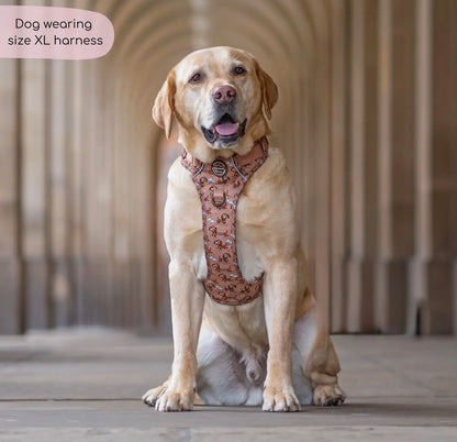 Disney© Tough Trails™ Harness - Slinky