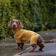 Dachshund Fleece Winter Suits with 4 Legs